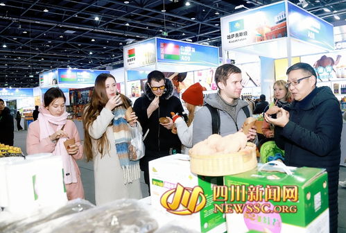 第二屆遂寧進出口商品交易會暨2024年“蜀里安逸”遂寧迎春購物月啟動，日用百貨點亮消費新熱潮